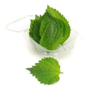 Hoja de Shiso (Paquete de 20 uds.)