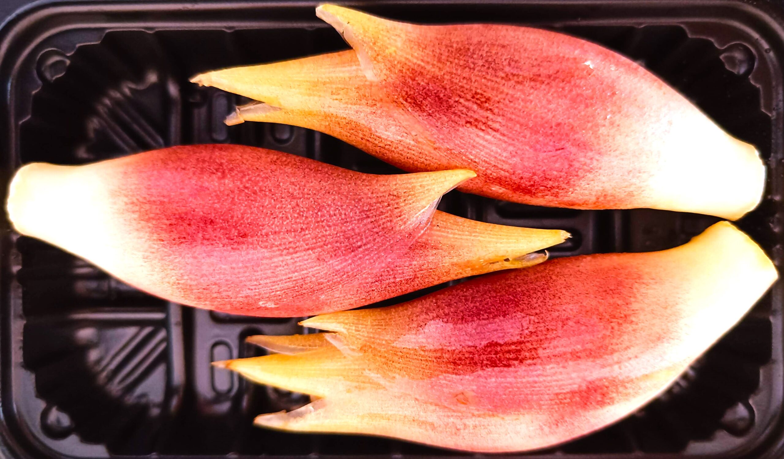 Flor de Myoga 50g - 3 piezas